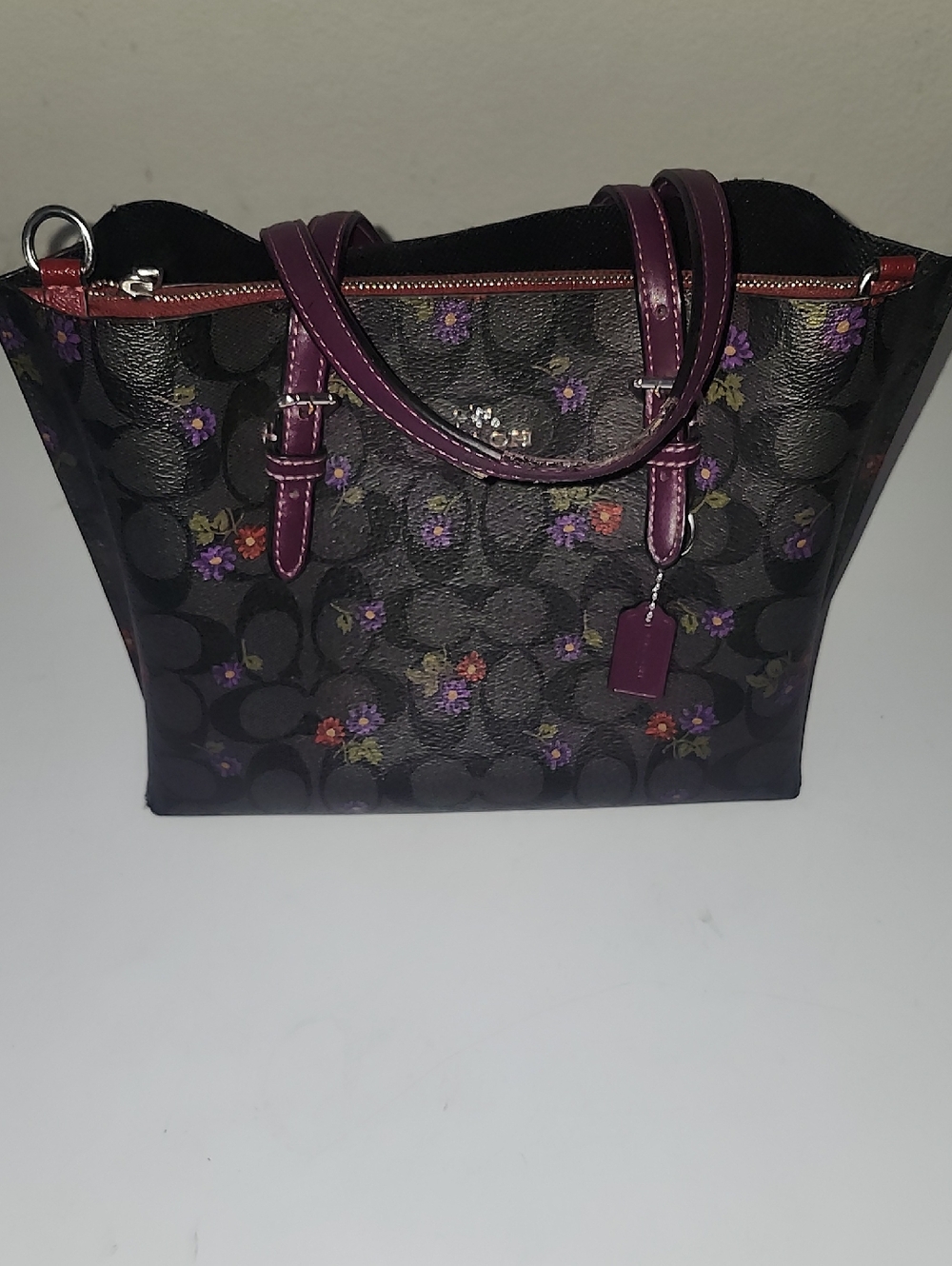 Coach Mollie Tote 25 in signature canvas